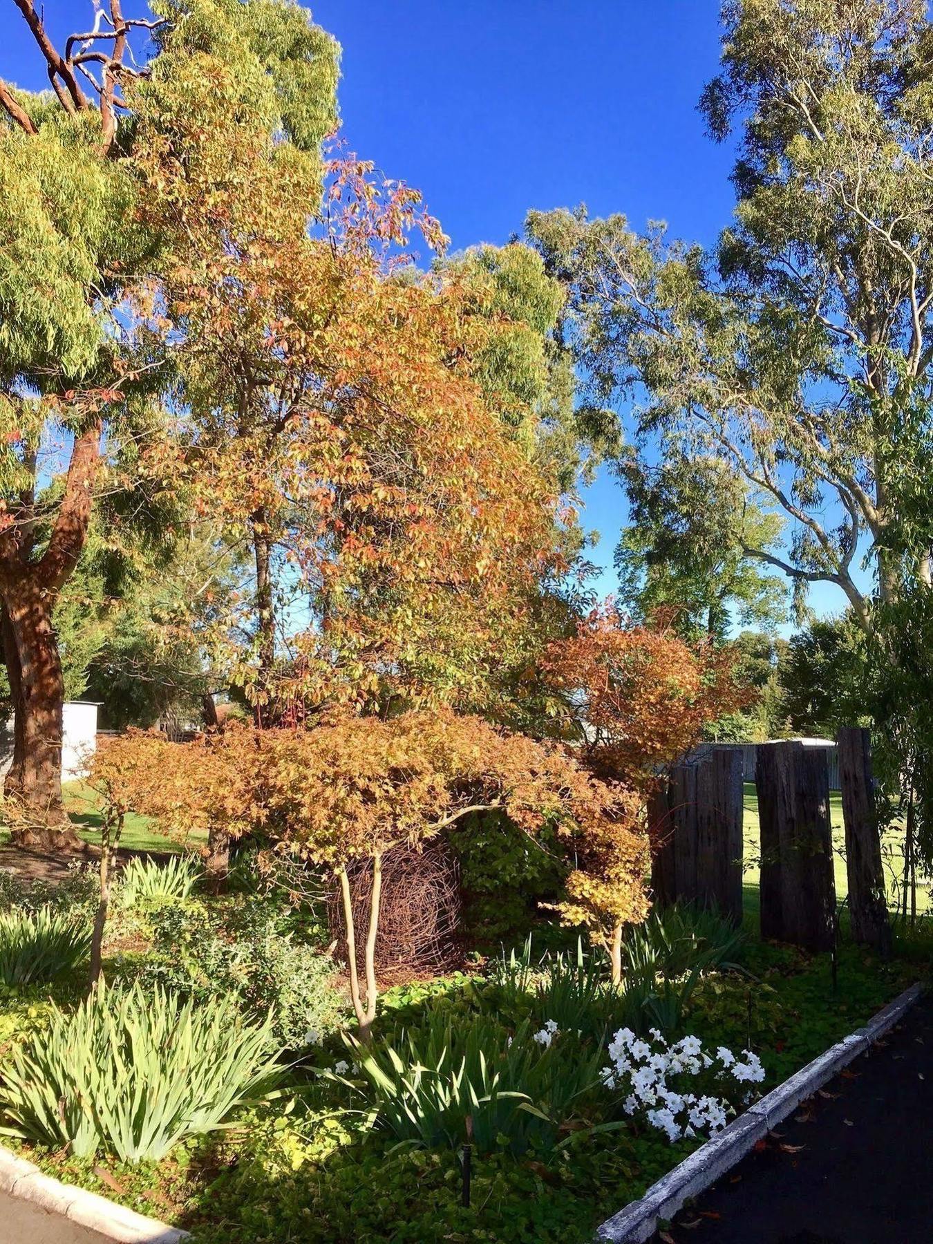 Manjimup Kingsley Motel Εξωτερικό φωτογραφία