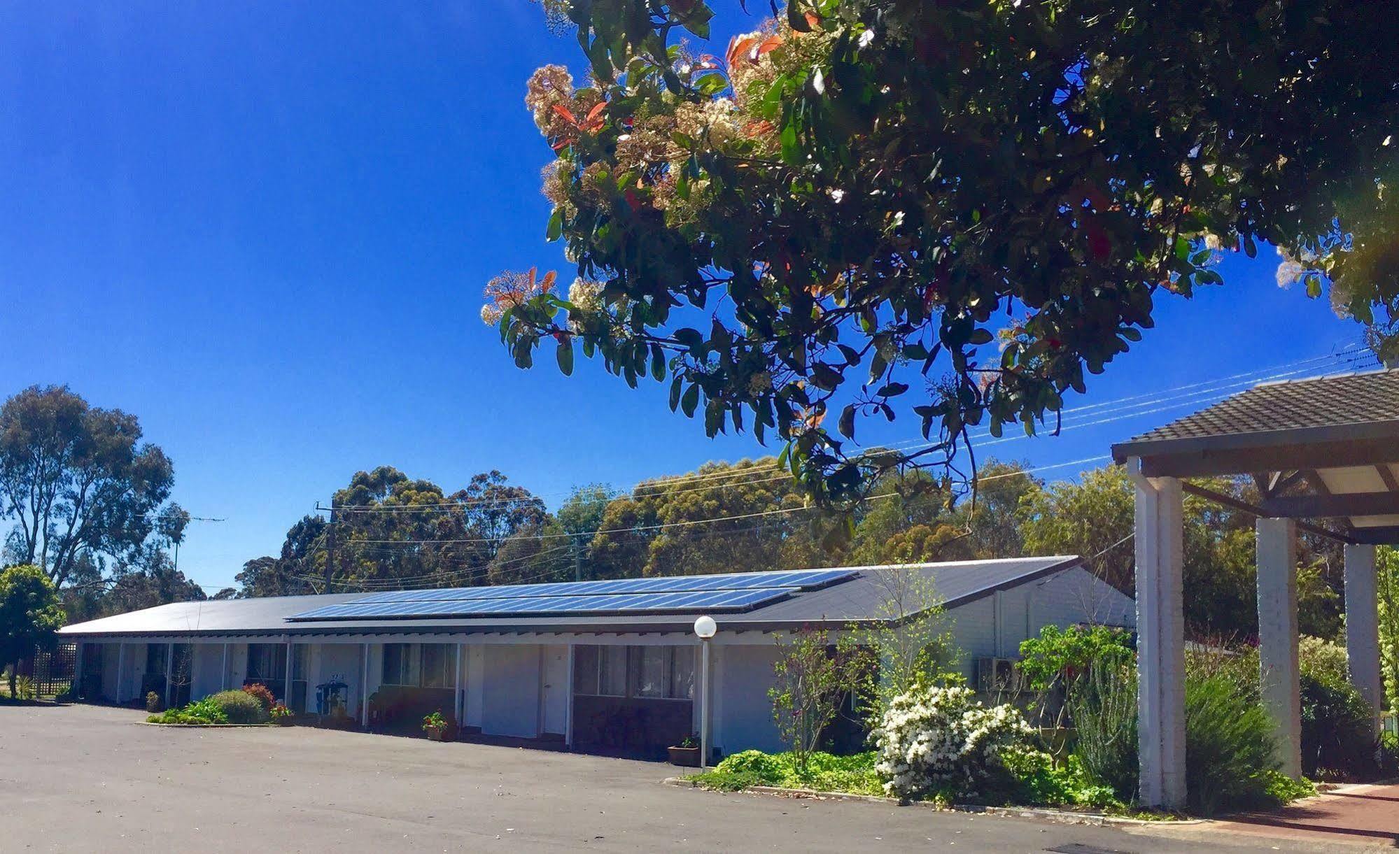 Manjimup Kingsley Motel Εξωτερικό φωτογραφία